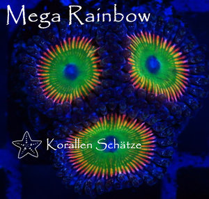 Mega Rainbow Zoa